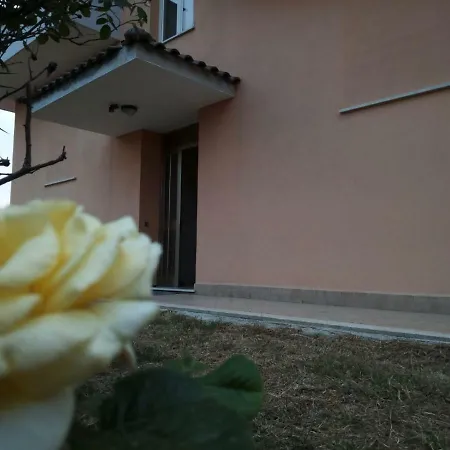 Fanciulla Di Apartment *